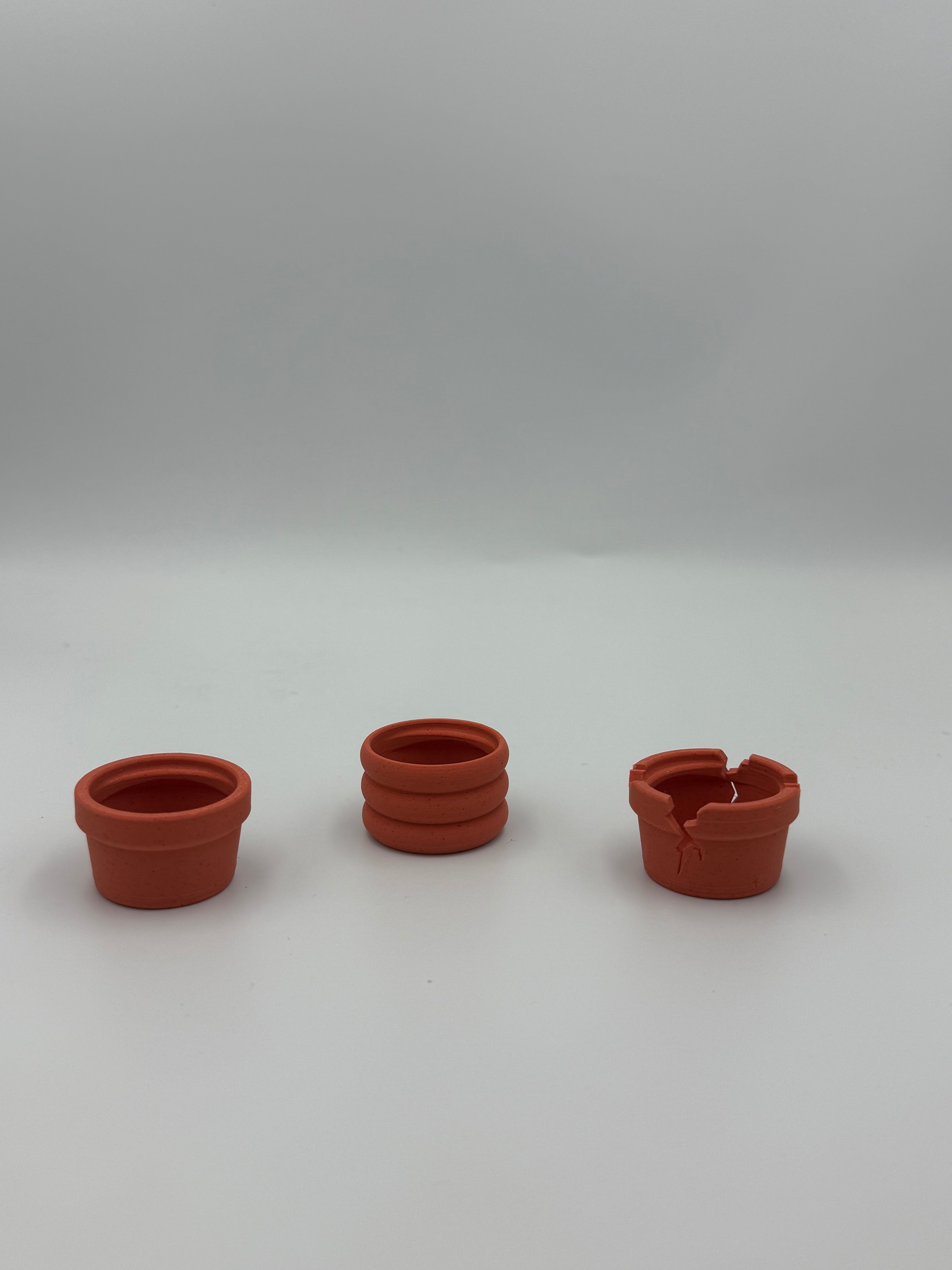 Flower Friends Desk Fidget