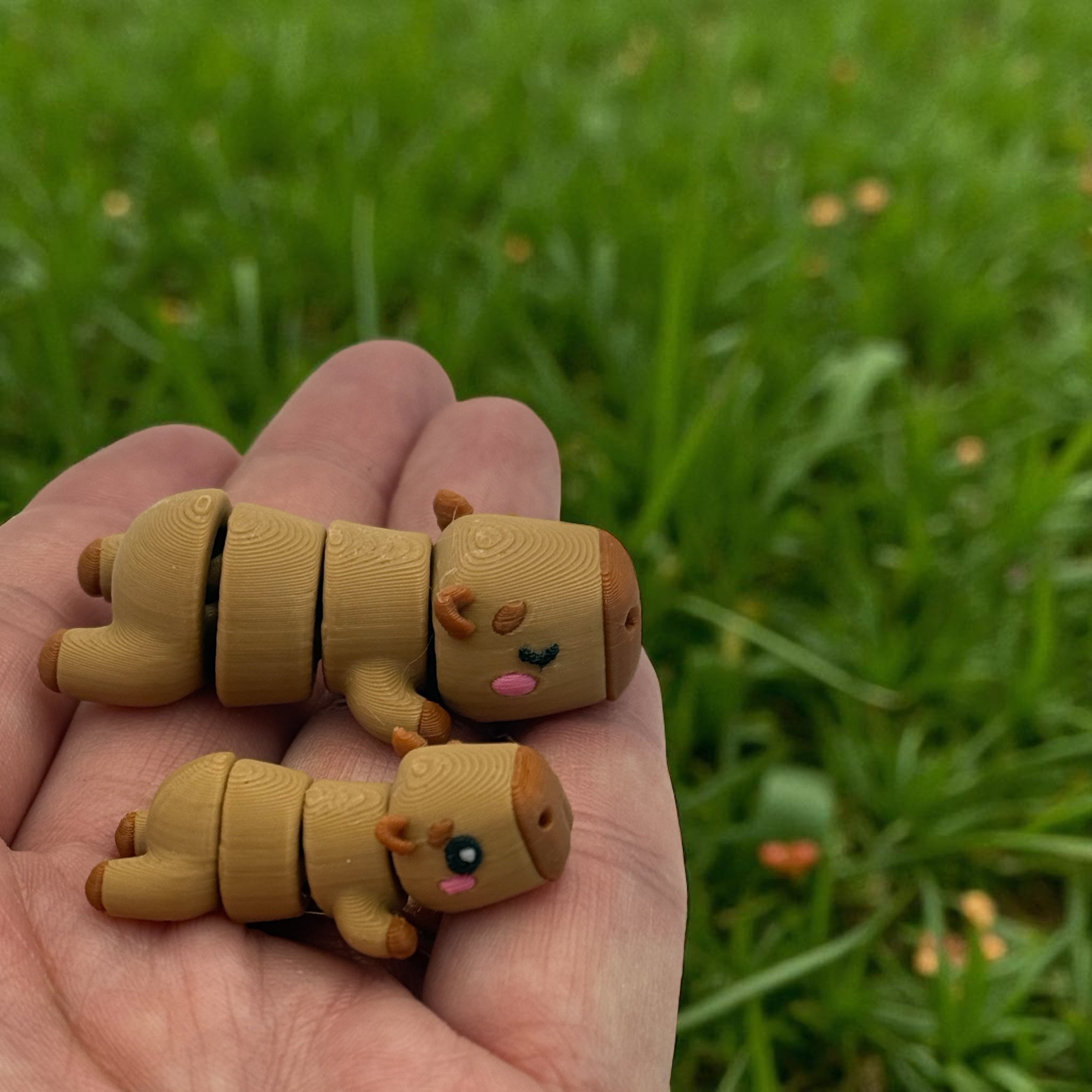 Capybara Campground